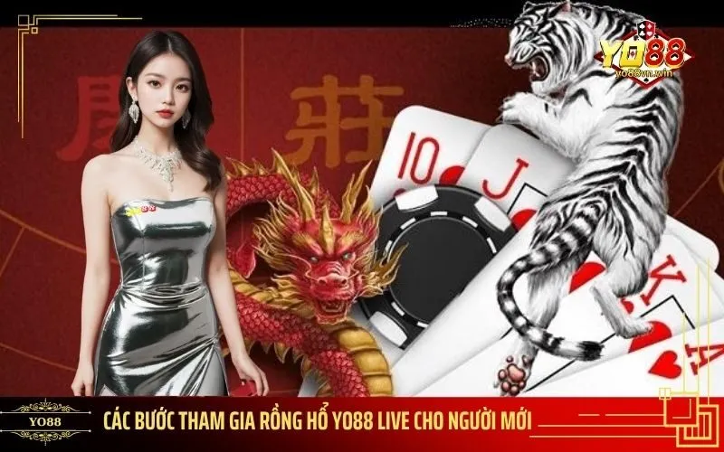 Các bước tham gia Rồng Hổ Yo88 Live cho người mới