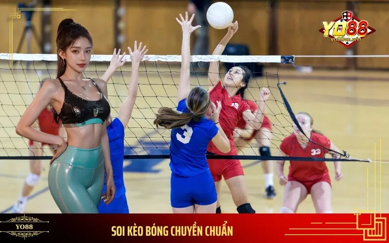 Soi Kèo Bóng Chuyền Chuẩn
